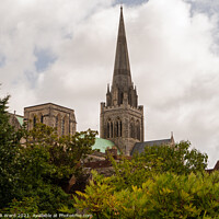 Buy canvas prints of Chichester Cathedral  from the Bishops Palace Gardens. by Mark Ward