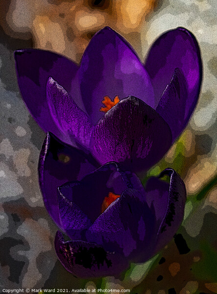 Crocus Therapy Picture Board by Mark Ward