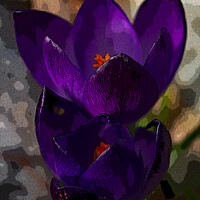 Buy canvas prints of Crocus Therapy by Mark Ward