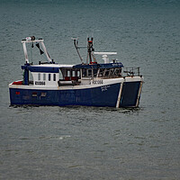 Buy canvas prints of Senlac Jack Returning to Hastings. by Mark Ward