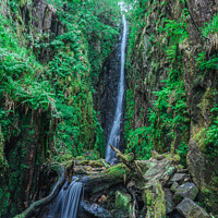 Buy canvas prints of Tranquil Waterfall  by Jonny Gios