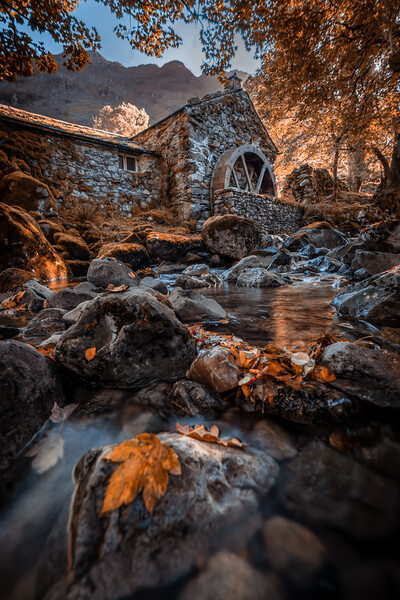Secret Watermill  Picture Board by Jonny Gios