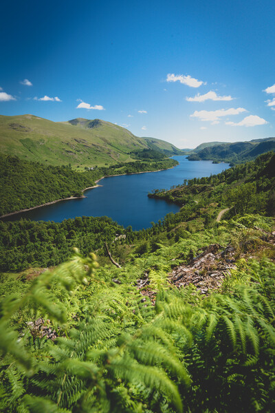 Thirlmere Blue Picture Board by Jonny Gios