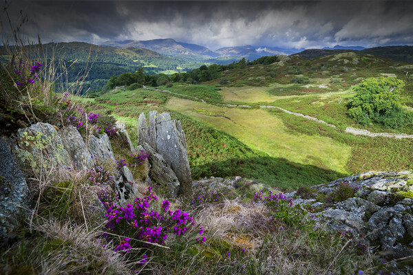 Loving Loughrigg Fell  Picture Board by Jonny Gios