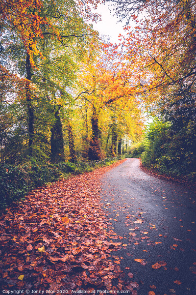 Autumn Lane Picture Board by Jonny Gios