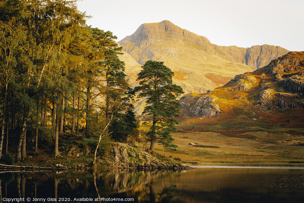 Langdale Pikes through the trees at Blea Tarn  Picture Board by Jonny Gios