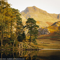 Buy canvas prints of Langdale Pikes through the trees at Blea Tarn  by Jonny Gios