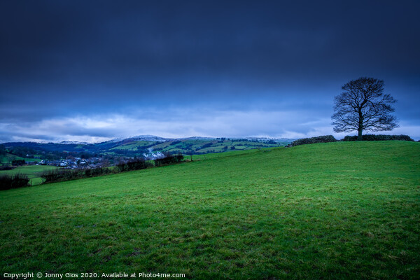 Burneside and the lone tree Picture Board by Jonny Gios