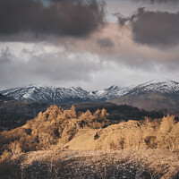 Buy canvas prints of Snow capped Mountains  by Jonny Gios