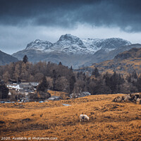Buy canvas prints of Elterwater Bliss by Jonny Gios
