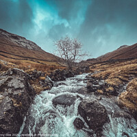 Buy canvas prints of Green Burn Waterfall with lone tree by Jonny Gios
