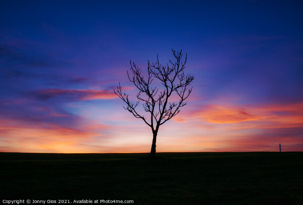 The Lone Tree Sunset  Picture Board by Jonny Gios