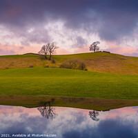 Buy canvas prints of Two trees reflection  by Jonny Gios