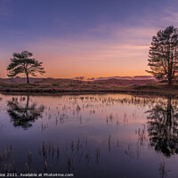 Buy canvas prints of 2 Trees of Kelly Hall Tarn at Sunset  by Jonny Gios