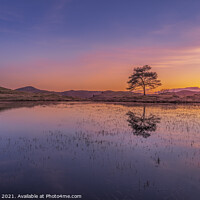 Buy canvas prints of Colours of Sunset at Kelly Hall Tarn in Coniston  by Jonny Gios