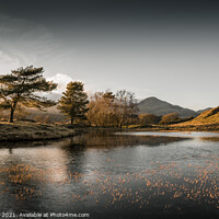 Buy canvas prints of Yellow highlights of Kelly Tarn by Jonny Gios