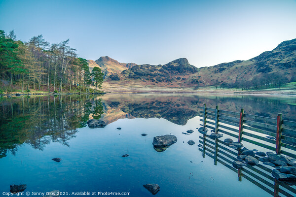 Trees of Blea Tarn  Picture Board by Jonny Gios