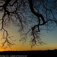 Buy canvas prints of Silhouettes and Sunset Colours by Leigh Windridge