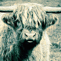 Buy canvas prints of Golden Coo by Paul Robson