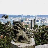 Buy canvas prints of Lion’s eye view of Hong Kong. by Gaynor Ball