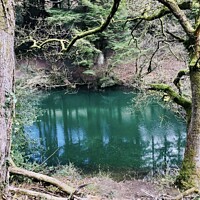 Buy canvas prints of Forestry pool by Gaynor Ball