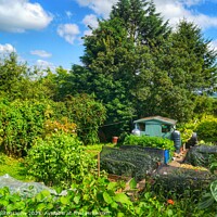 Buy canvas prints of The Crich Garden. by 28sw photography