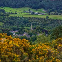 Buy canvas prints of Ashover Gold. by 28sw photography