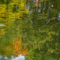 Buy canvas prints of Autumn Reflected. by 28sw photography
