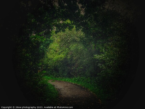 The Path to an Underworld. Picture Board by 28sw photography