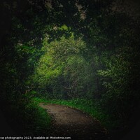 Buy canvas prints of The Path to an Underworld. by 28sw photography