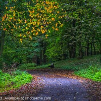 Buy canvas prints of A slice of Autumn and Light - (Panorama.) by 28sw photography