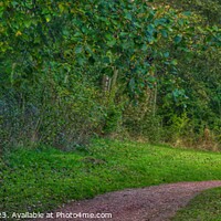 Buy canvas prints of Where does it lead to? - (Panorama.) by 28sw photography