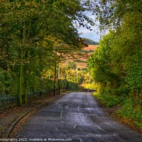 Buy canvas prints of Down the Lane. by 28sw photography