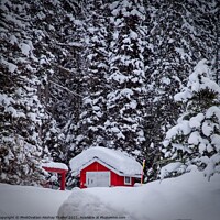 Buy canvas prints of A beautiful winter landscape with red and white  by PhotOvation-Akshay Thaker