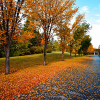 Buy canvas prints of Beautiful Autumn or fall colors landscapes in Canada by PhotOvation-Akshay Thaker