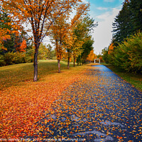 Buy canvas prints of Beautiful Autumn or fall colors landscapes by PhotOvation-Akshay Thaker