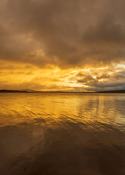 Golden and cloudy sunrise on the lake Picture Board by Vicen Photo