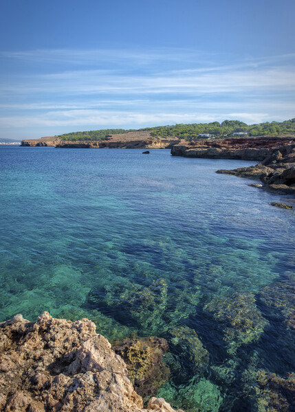 Photography with the transparent waters of Cala Bassa in San Antonio de Ibiza Picture Board by Vicen Photo