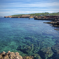 Buy canvas prints of Photography with the transparent waters of Cala Bassa in San Antonio de Ibiza by Vicen Photo