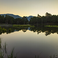 Buy canvas prints of Calm sunrise in the bassa d´oles of the Aran Valley by Vicen Photo