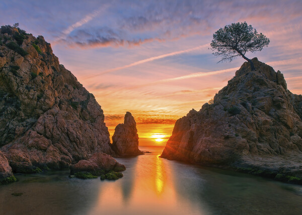 A calm sunrise between the rocks, Tossa de Mar Picture Board by Vicen Photo