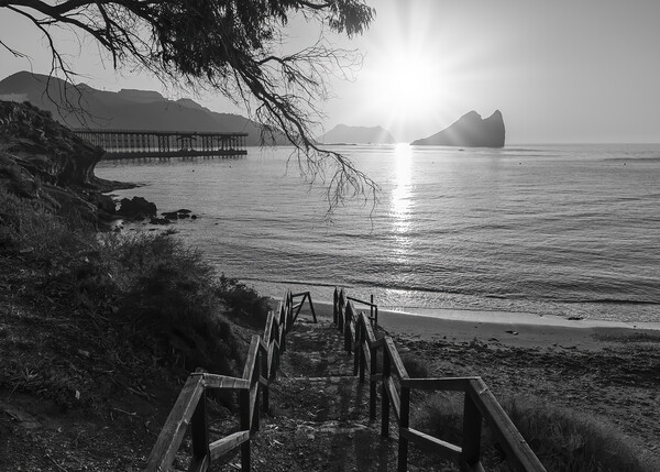 Access stairs to Aguilas beach at sunrise in black and white Picture Board by Vicen Photo