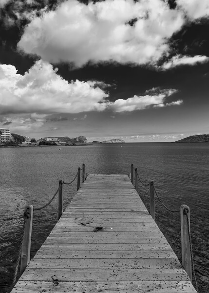Wooden jetty in black and white, Ibiza Picture Board by Vicen Photo