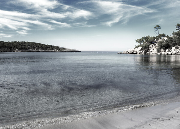 A heavenly beach in Ibiza Picture Board by Vicen Photo