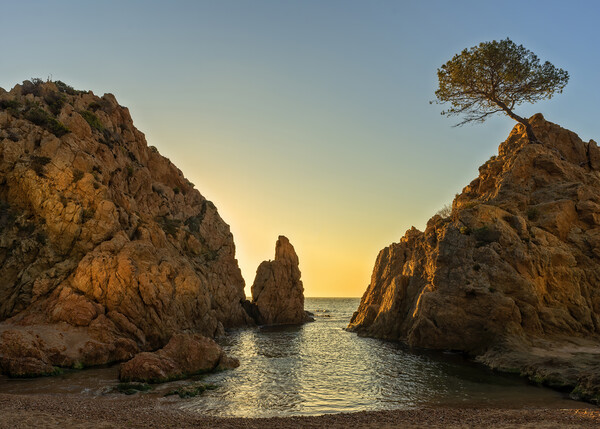 The small sea of Tossa in a calm sunrise without clouds Picture Board by Vicen Photo