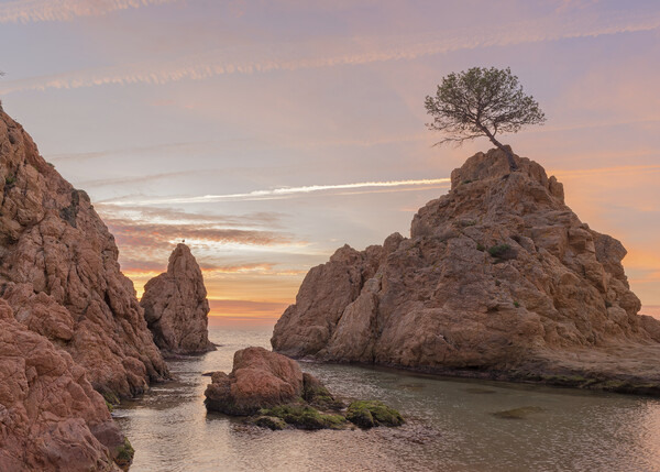 Sunrise on a quiet beach in Tossa de Mar Picture Board by Vicen Photo