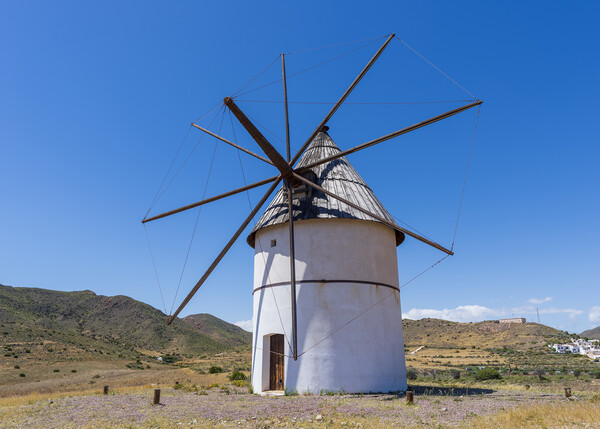 Photograph with an old windmill in Almeria Picture Board by Vicen Photo