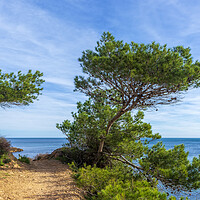Buy canvas prints of Photography with a path along the Mediterranean Sea in Atmella de Mar by Vicen Photo