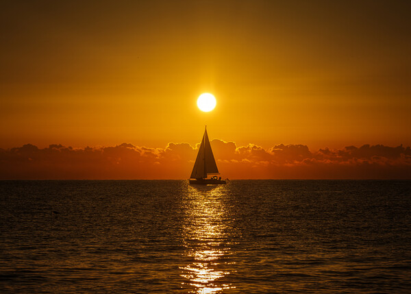 A lone sailboat sailing in the dawn sun Picture Board by Vicen Photo