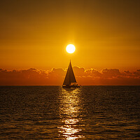 Buy canvas prints of A lone sailboat sailing in the dawn sun by Vicen Photo